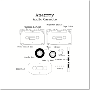 Anatomy of Audio Cassette Tape Posters and Art